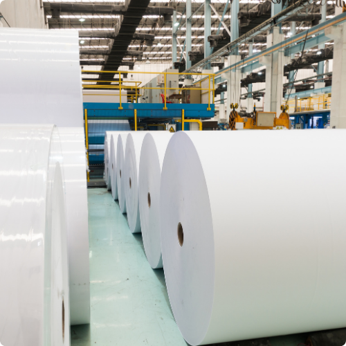 Bobinas de papel en una planta industrial